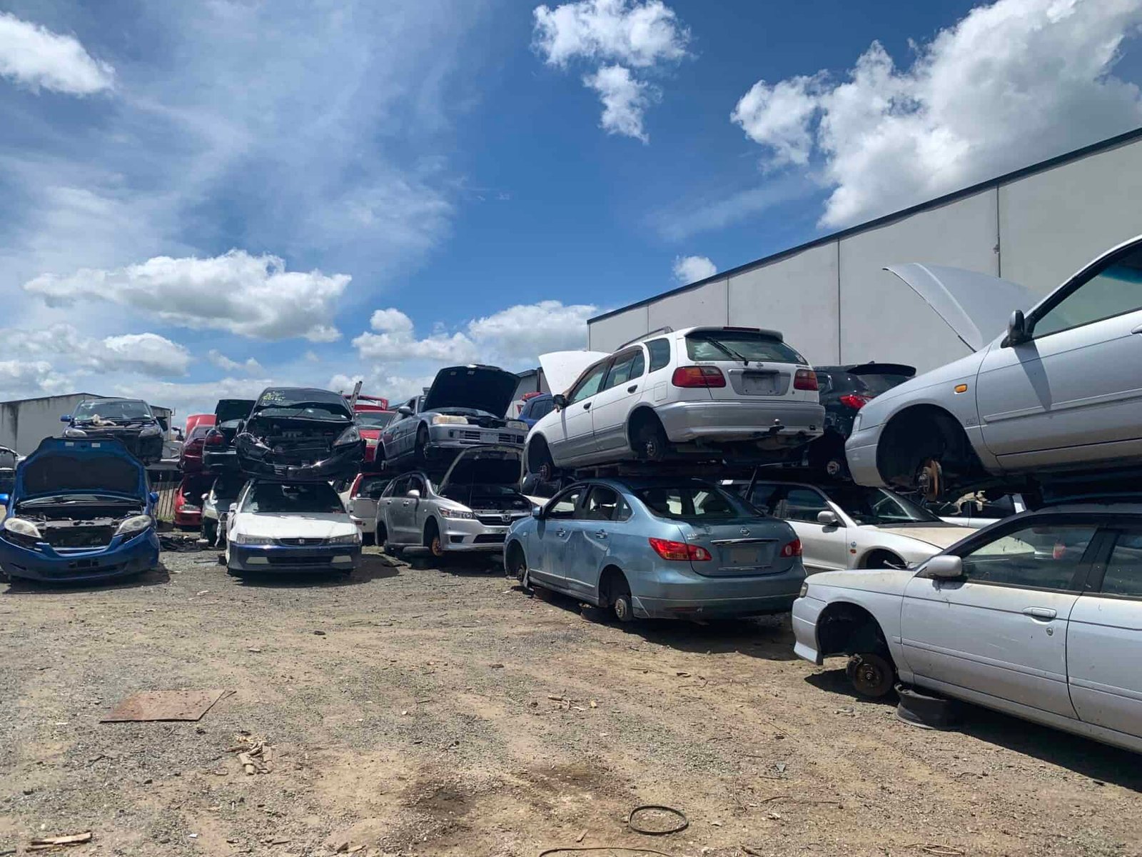 Scrap car yard in Levin filled with old and unwanted vehicles